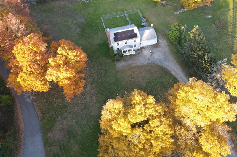 House among trees with solar panels